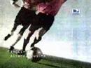Japón Corea 2002 (Paraguay 2 - Sudáfrica 2)