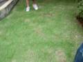 videos de [PEDRO,THALITA E LARISSA] DOIS