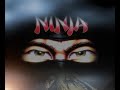 the last ninja the palace