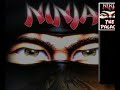 the last ninja the palace
