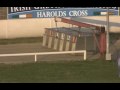 Greyhound Data Video