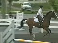 Jumping Horses Jumping Horses