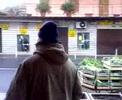 Scarola al lavoro Scarola al lavoro