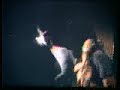 Dirdy Birdies Jug Band/Killer Kane Dirdy Birdies Jug Band/Killer Kane