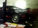 DiFeo Wicked Shelby DiFeo Wicked Shelby