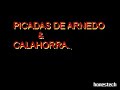 motos-picadas-arnedo