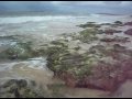 Greetings from Cape Verde, Boa Vista 2009