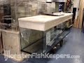Ocean Blue - The Video Tour - MonsterFishKeepers.com