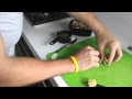Chicken Basil Recipe 