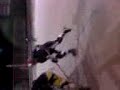 Hockey sonora un dia comun