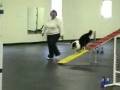 videos de Tyler Agility Fun Match