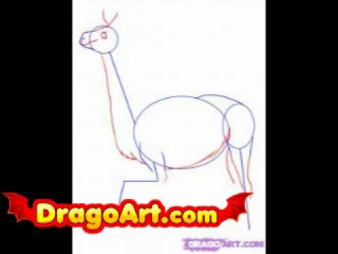 how to draw llama step by step