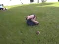 Man gets hit in crotch by football. Man gets hit in crotch by football.