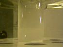 Elementary Productions: Solid Nitrogen