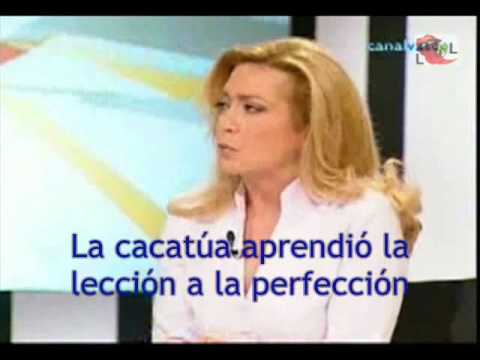 Imagen de previsualización de YouTube