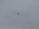 A snippet of the airshow at Thunder over Louisville