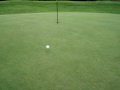 The Greatest Hole in One in Golf