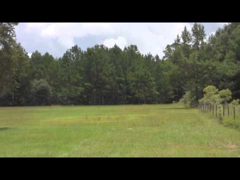 14.61 acres Perry, FL