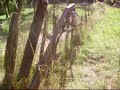 Video casero motocross