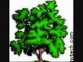 umma do me remix (umma blo trees)