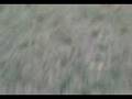 videos de Circulos de platos voladores
