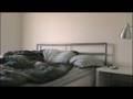 videos de Regret Insomnia Project
