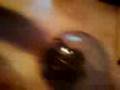 videos de gerbille