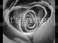 Boyzone - Better (New Song, With Lyrics) Boyzone - Better (New Song, With Lyrics)