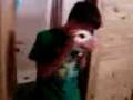 videos de Surprise