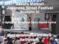 Play Video - Sakura Matsuri Japanese Street Festival, Washington DC, US Play Video - Sakura Matsuri Japanese Street Festival, Washington DC, US