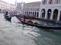 Venezia