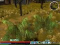 55hp SS Necro Farming - Stone Scale Kirin & Undergrowth
