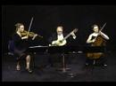 Dancing On Strings Performs Don\