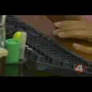 Fox 4 Mangosteen Story