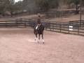 videos de Roman
