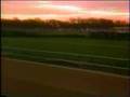 Secretariat's Triple Crown - Part 1 - Sportscentury