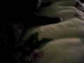 videos de Boston