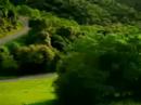COMERCIAL DE AUTO
