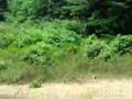 jamie crashes dirt bike