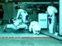 bmw sauber warm up
