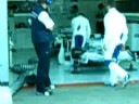 BMW Sauber Warm Up