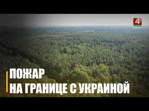 Возле Чернобыля горят леса. Что с пожарами на Гомельщине? видео