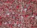 Partying of the Red Sea