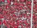 Partying of the Red Sea