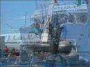 FotoCalypso2006 (1)