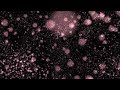Cinnamon Chasers - Luv Deluxe