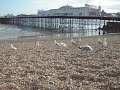 vista 180º brighton pier