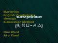 Dr. Choi's WordBank [surreptitious]