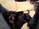 Tito - playing games Tito - playing games