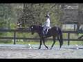 April 12, 2008 - Training Level Test 1, Donida Farms